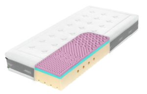 Super Fox Cloud Wellness