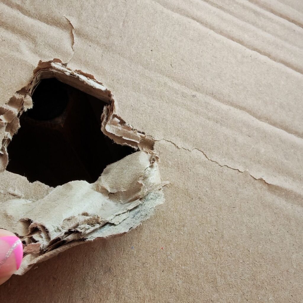 Obrázek #2 od Anonymný